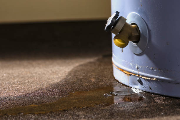 Best Flood damage cleanup  in Broomall, PA
