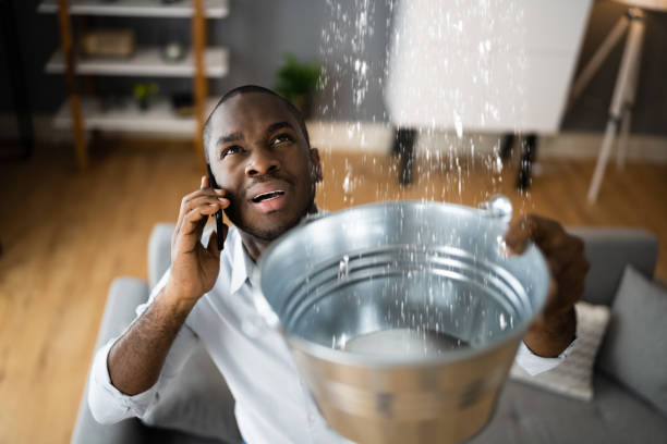 Best Carpet water damage restoration  in Broomall, PA