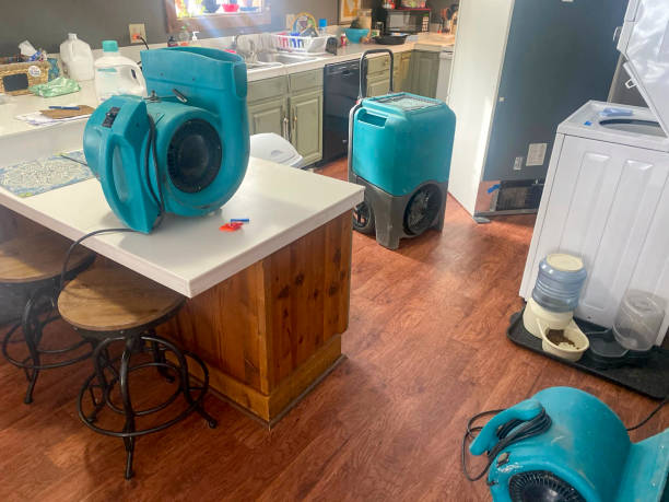 Best 24/7 water damage repair  in Broomall, PA