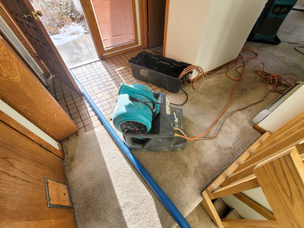 Best Residential water damage restoration  in Broomall, PA