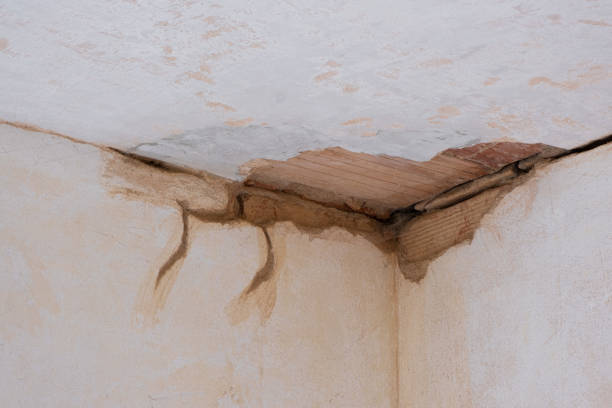 Best Water damage cleanup near me  in Broomall, PA