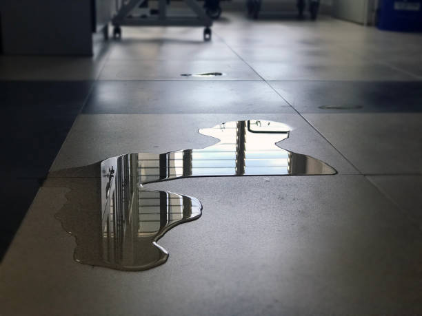 Best Local water damage restoration  in Broomall, PA
