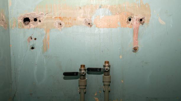 Best Local water damage restoration  in Broomall, PA