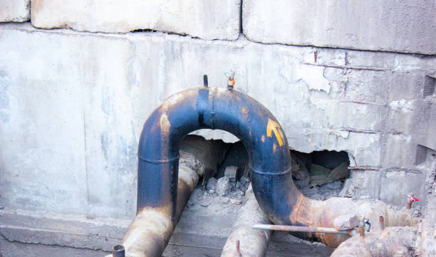 Best Flood restoration services  in Broomall, PA