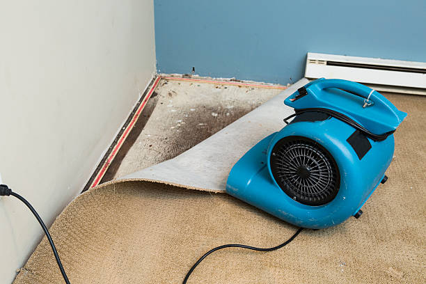 Best Water damage restoration near me  in Broomall, PA