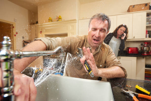 Best Mold removal after water damage  in Broomall, PA